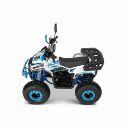 Квадроцикл YACOTA SIRIUS 110, фото 3