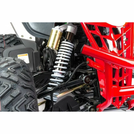 Квадроцикл подростковый MotoLand ATV 250 Rally, фото 12