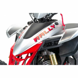 Квадроцикл подростковый MotoLand ATV 250 Rally, фото 5