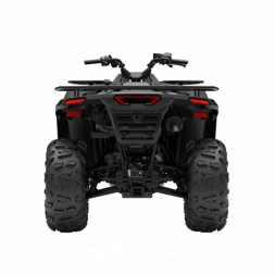 Квадроцикл Segway AT5 SE, фото 9 Квадроцикл Segway AT5 SE, фото 9