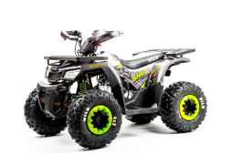 Квадроцикл MOTOLAND Wild Basic 125