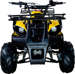 Квадроцикл AVANTIS Hunter 7 LITE, фото 8