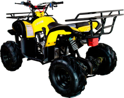 Квадроцикл AVANTIS Hunter 7 LITE, фото 3