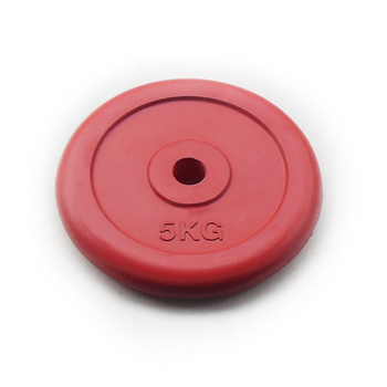 Диск JOHNS d26/d51 мм цветной обрезиненный, 5кг, фото 1