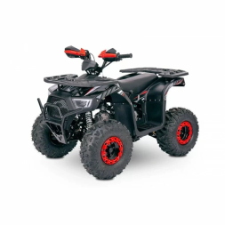 Квадроцикл YACOTA SIRIUS 125, фото 9