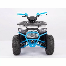 Квадроцикл YACOTA SIRIUS 125, фото 8