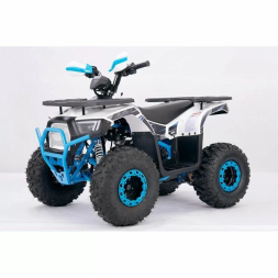 Квадроцикл YACOTA SIRIUS 125, фото 1