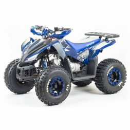 Квадроцикл подростковый MotoLand ATV COYOTE 125, фото 1