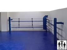 Имитация под боксерский ринг за м.п. DNN