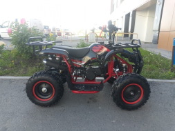 Квадроцикл MOTOLAND 50 Mini, фото 4