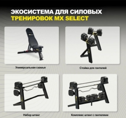 Держатель для гантелей MX55 EVO и MX100 EVO на стойку для штанг MX125 , фото 2