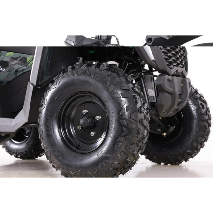 Квадроцикл MOTAX ATV Grizlik T 250 Basic, фото 19