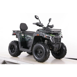 Квадроцикл MOTAX ATV Grizlik T 250 Basic, фото 7