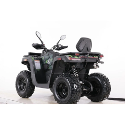 Квадроцикл MOTAX ATV Grizlik T 250 Basic, фото 3