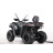 Квадроцикл MOTAX ATV Grizlik T 250 Basic