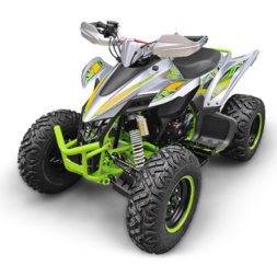 Квадроцикл YACOTA TYPHOON 250, фото 4