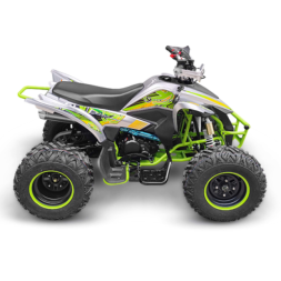 Квадроцикл YACOTA TYPHOON 250, фото 1