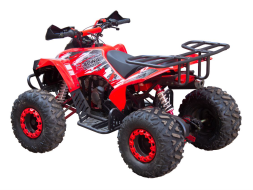 Квадроцикл GLADIATOR X125, фото 3 Квадроцикл GLADIATOR X125, фото 3