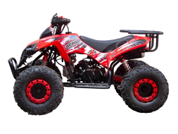 Квадроцикл GLADIATOR X125, фото 2 Квадроцикл GLADIATOR X125, фото 2