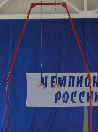 Рама с кольцами гимнастическими, фото 1