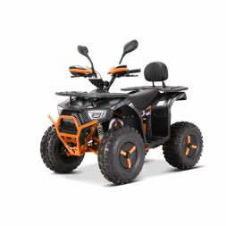 Квадроцикл YACOTA Sirius 2000W, фото 2