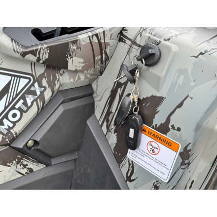 Квадроцикл MOTAX ATV Grizlik T 250 Pro, фото 23