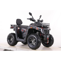 Квадроцикл MOTAX ATV Grizlik T 250 Pro, фото 7