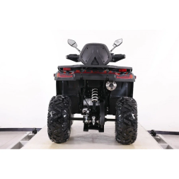 Квадроцикл MOTAX ATV Grizlik T 250 Pro, фото 4