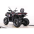 Квадроцикл MOTAX ATV Grizlik T 250 Pro
