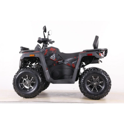 Квадроцикл MOTAX ATV Grizlik T 250 Pro, фото 2