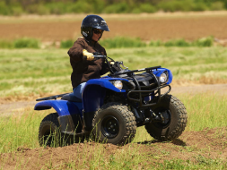 Квадроцикл GRIZZLY 125, фото 7