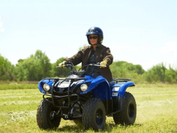 Квадроцикл GRIZZLY 125, фото 4