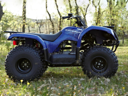 Квадроцикл GRIZZLY 125, фото 3