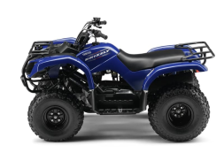 Квадроцикл GRIZZLY 125, фото 2