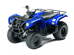 Квадроцикл GRIZZLY 125, фото 1