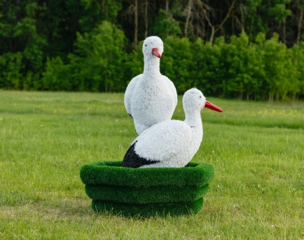 Топиари Аисты в гнезде, семья газон Eco, фото 11