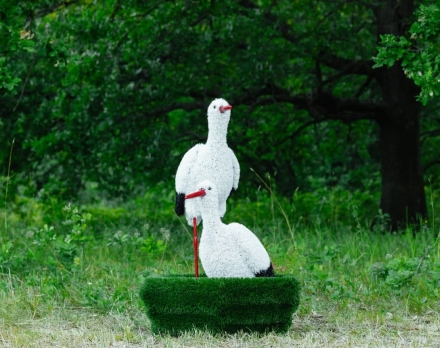 Топиари Аисты в гнезде, семья газон Eco, фото 5