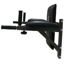 Брусья настенные DFC Homegym G294 Брусья настенные DFC Homegym G294