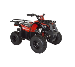 Квадроцикл ABM Ninja 110, фото 3