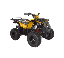 Квадроцикл ABM Ninja 110, фото 1