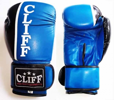 Перчатки бокс 8 STAR (DX)  8 oz синие, фото 1