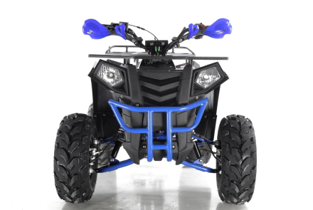 Квадроцикл WELS Thunder EVO, фото 6