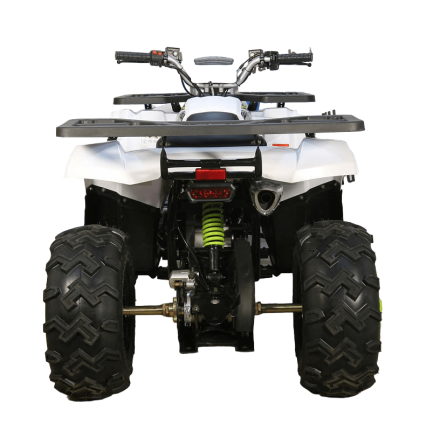 Квадроцикл AVANTIS H200 NEW (Баланс. вал), фото 1