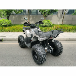 Квадроцикл MOTAX ATV Grizlik T200, фото 6
