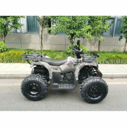 Квадроцикл MOTAX ATV Grizlik T200, фото 3