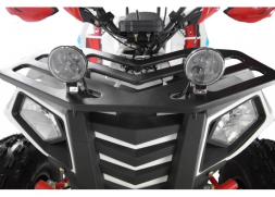Квадроцикл WELS Thunder EVO LUX X 125, фото 16