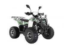 Квадроцикл WELS Thunder EVO LUX X 125
