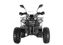 Квадроцикл WELS Thunder EVO LUX X 125