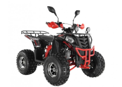 Квадроцикл WELS Thunder EVO LUX X 125, фото 8