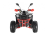 Квадроцикл WELS Thunder EVO LUX X 125